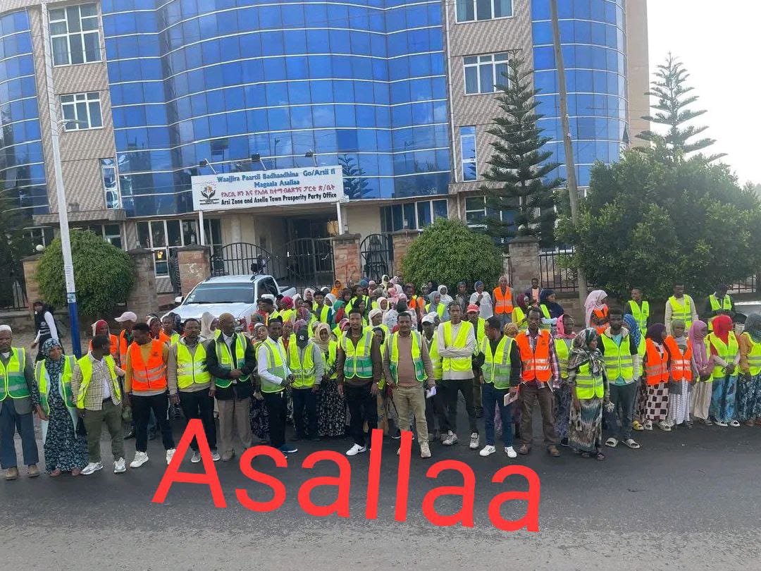 Asella
